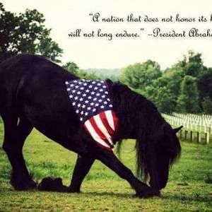 Meet your Posher, Tamara